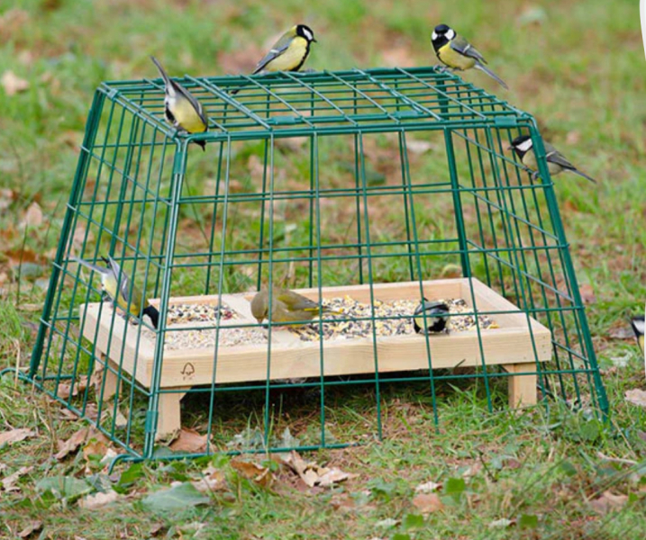 Recommend me a squirrel-proof bird feeder