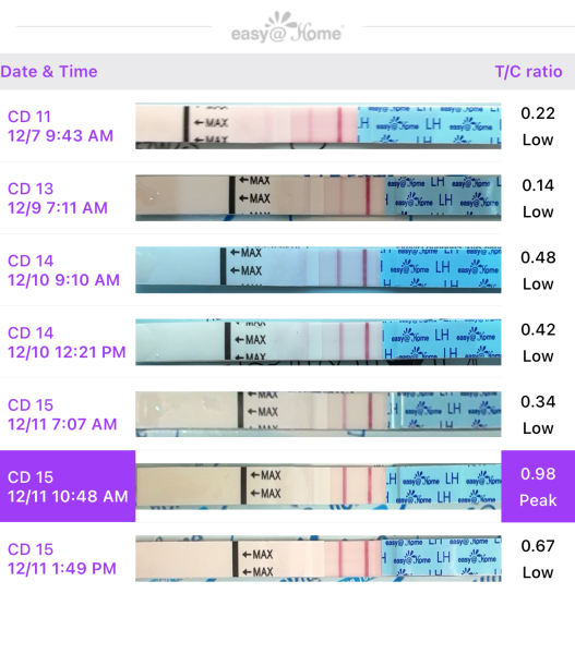 OPK Rapid Surge - Is this my peak