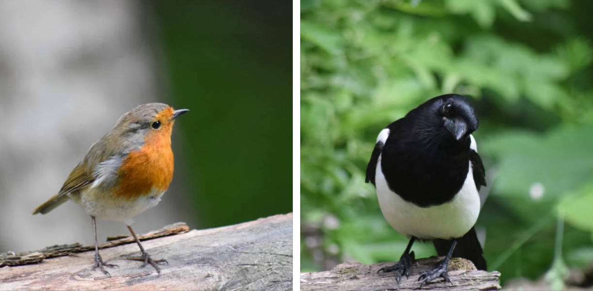 The Bluestocking: Next stop, Christmas!