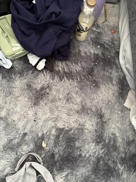 Advice for DD 17 year old