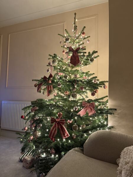 Share your Christmas Tree 🎄