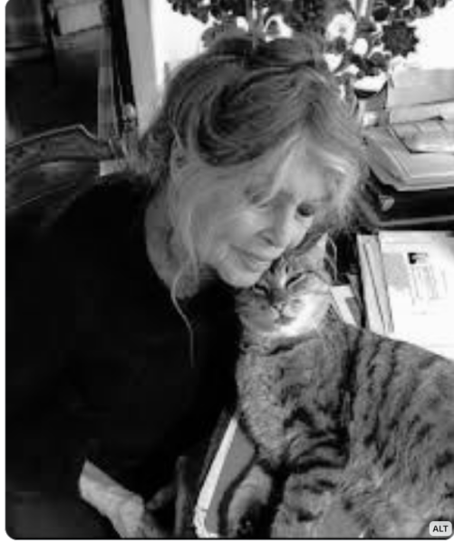 Thread 40 Starmer: Prettig Kerstfeest, Nollaig Shona, Hyvää Joulua, Nadolig Llawen ,圣诞快乐, God Jul, Feliz Navidad, Bouan Noué, Nollaig Chridheil.