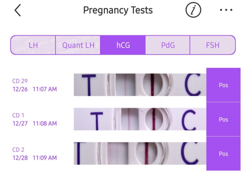 Due September 2026 🐣💖🙏🤞