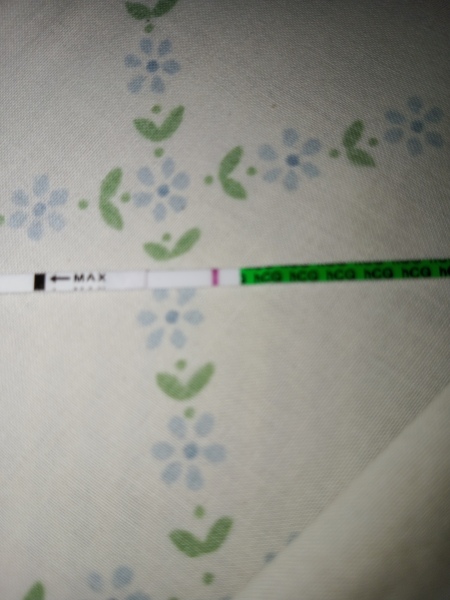 9DPO is this test positive?