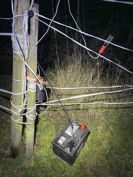 Electric fence help