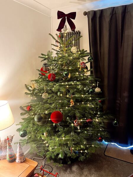 Have we had a Christmas tree thread this year?