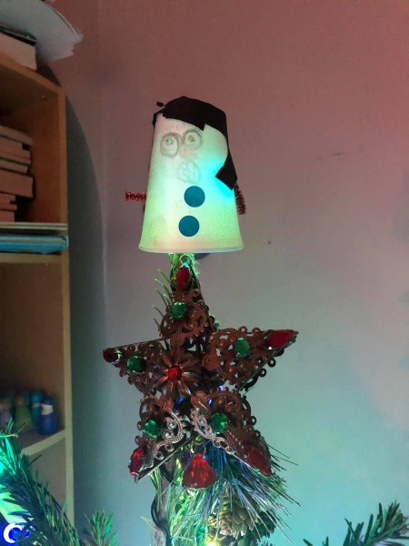 Show your best worst tree ornament