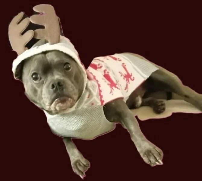 Support thread for anyone trying to lead an Alcohol free life - Winter 25