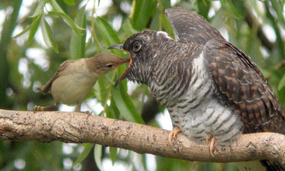 All men banned from Labour Women's Conference