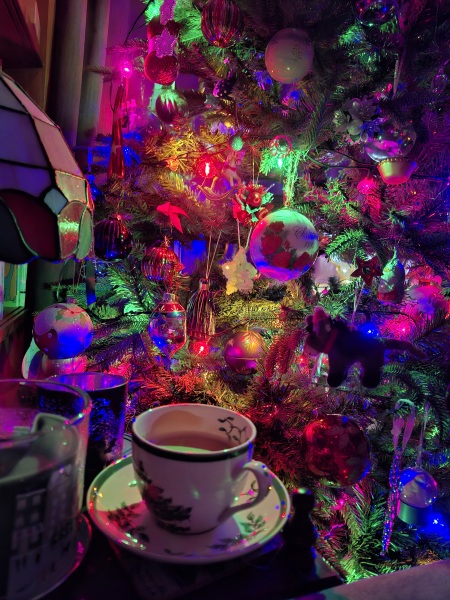 The Nigel Slater Christmas Chronicles readalong 2025 - Part 2