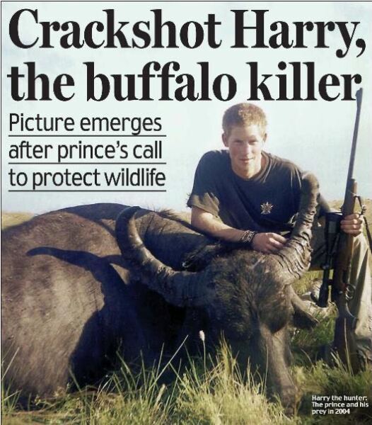 RF, William, Kate and cruelty to animals