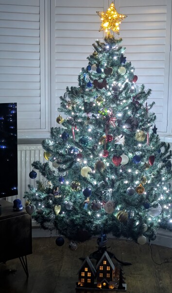 Share your Christmas Tree 🎄