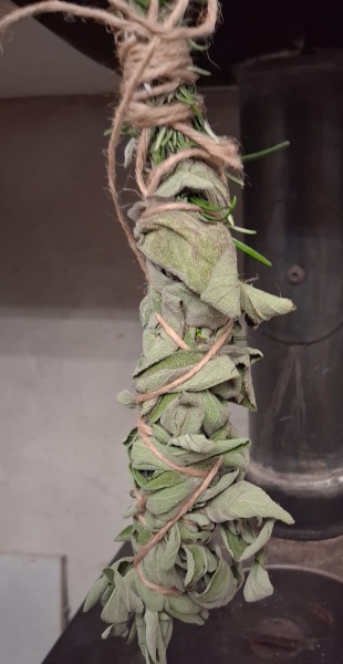 Any Witches Here? Part 21