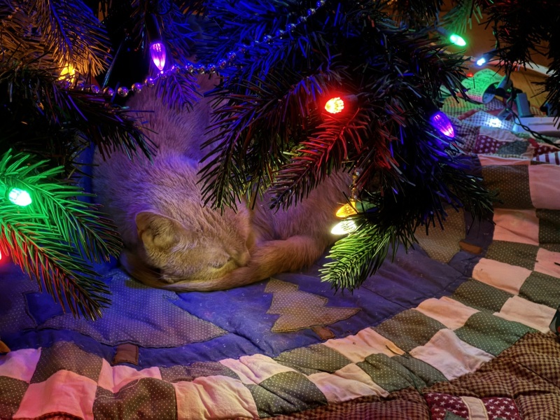 Come and tell us your dull and unexciting news 34: Calmly through the day