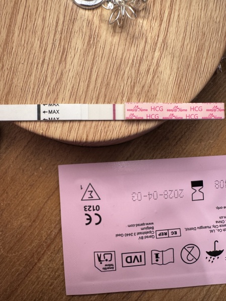 The Hopeful Hearts Circle 1  - December 2025🎄💖