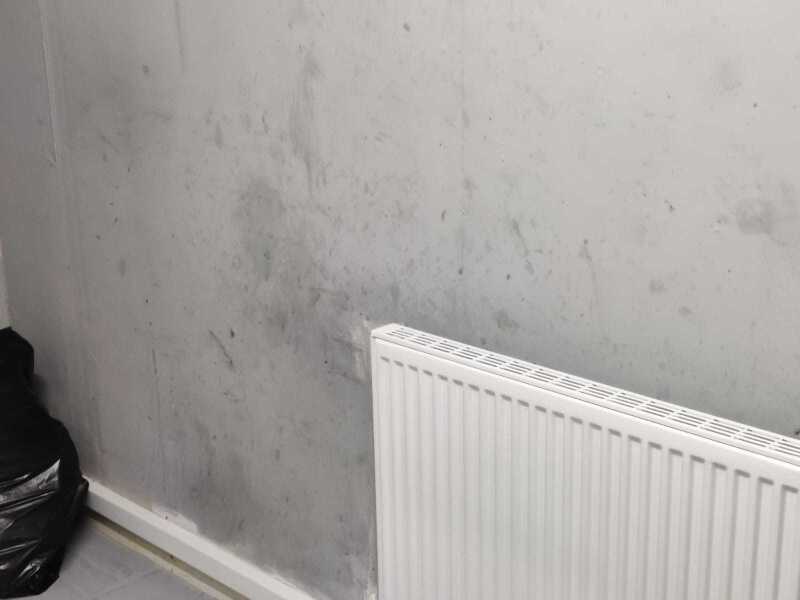 Need decorating advice