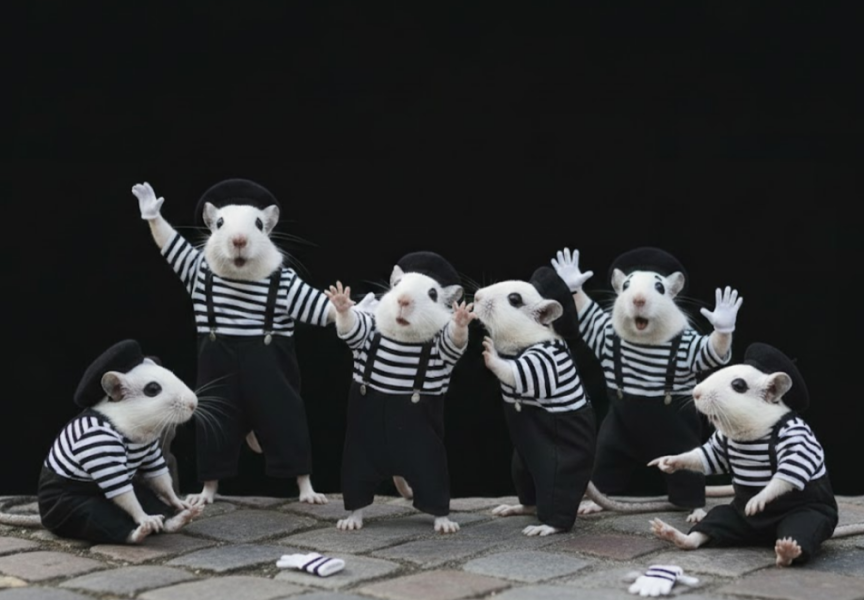 The Bluestocking: it's the season of mulled wine, conversations about pineapple and, of course, gerbils. Confused? You will be...