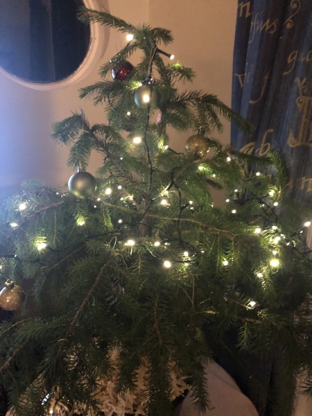 Daily Project round 8