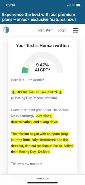 MIL has stolen my childhood christmas decorations!