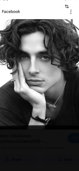 Timothée Chalamet