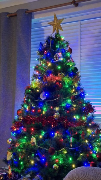 Have we had a Christmas tree thread this year?