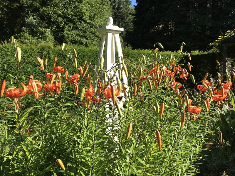 Creating a flower bed via "no dig" method