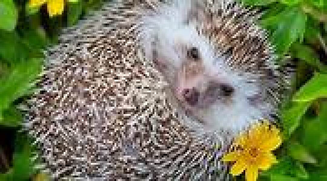 The Bluestocking: Next stop, Christmas!