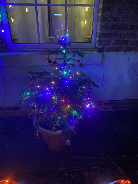 Have we had a Christmas tree thread this year?