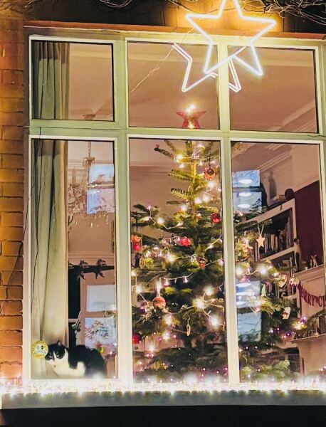 Have we had a Christmas tree thread this year?