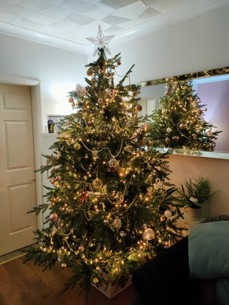 Have we had a Christmas tree thread this year?