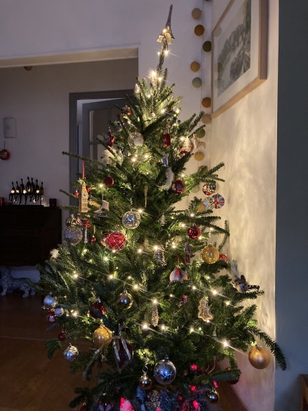 The Nigel Slater Christmas Chronicles readalong 2025 - Part 2