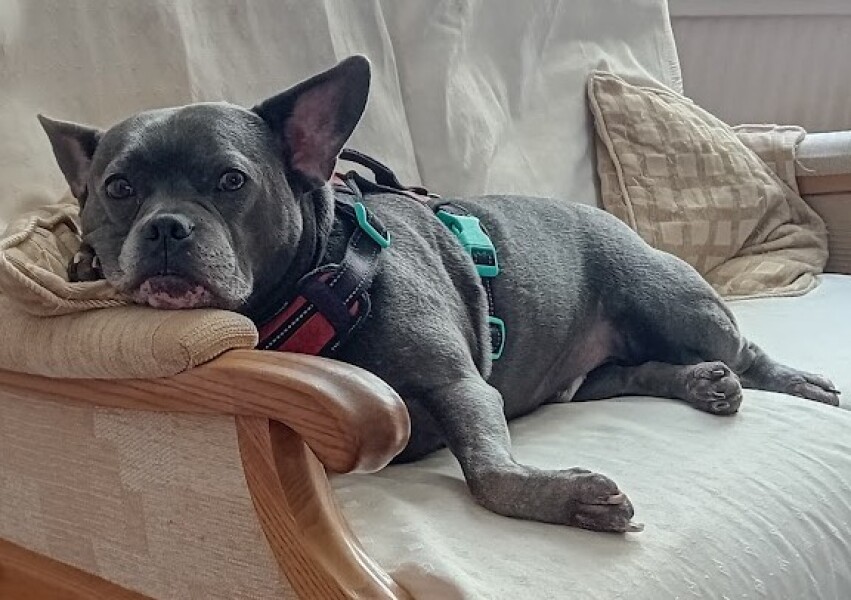 Support thread for anyone trying to lead an Alcohol free life - Winter 25