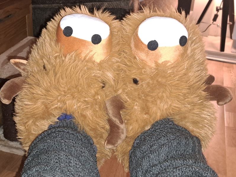 The Bluestocking Boxing Day sale: 1 gerbil for the price of 2