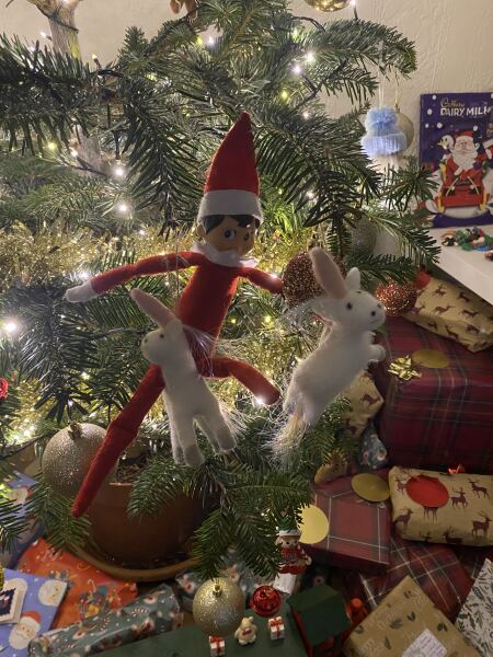 Show your best worst tree ornament