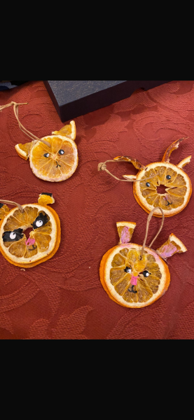 Poncetastic Christmas 2025