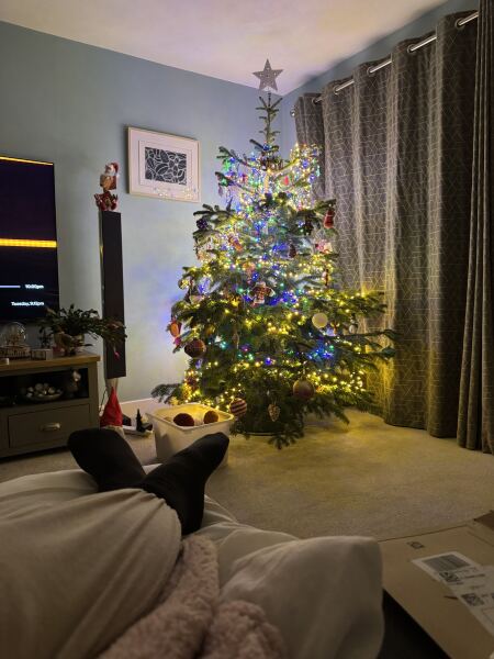 Have we had a Christmas tree thread this year?