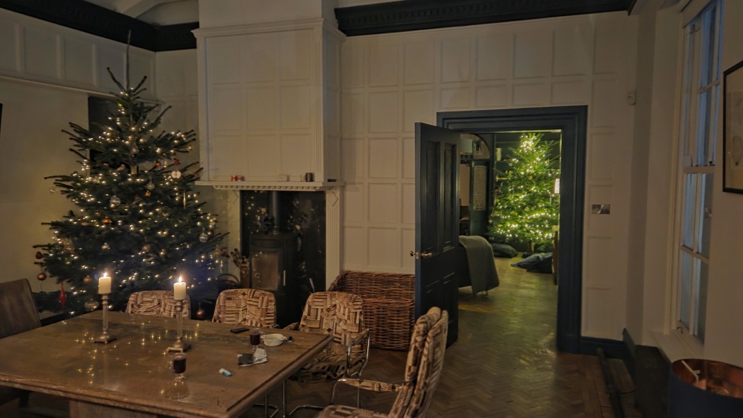 Have we had a Christmas tree thread this year?