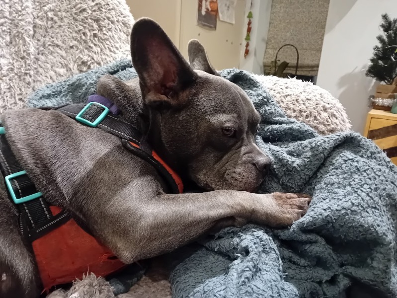 Support thread for anyone trying to lead an Alcohol free life - Winter 25