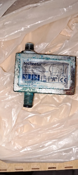 The Bluestocking: it's the season of mulled wine, conversations about pineapple and, of course, gerbils. Confused? You will be...