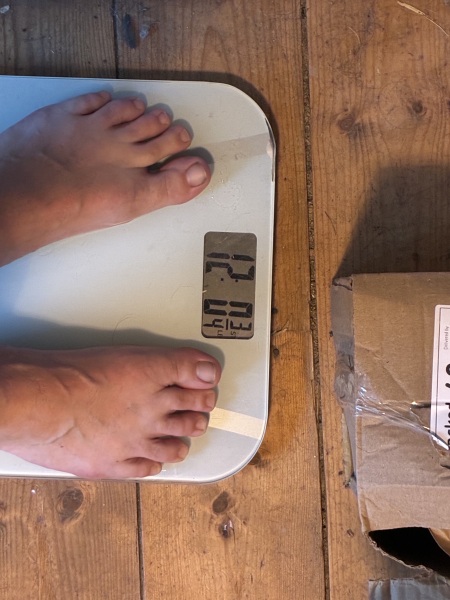 September 25 starters thread2 - gliding into autumn