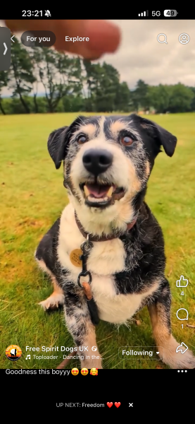AIBU to feel sad about cancelling pet insurance?