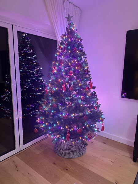 Or do fake trees always  look crap?