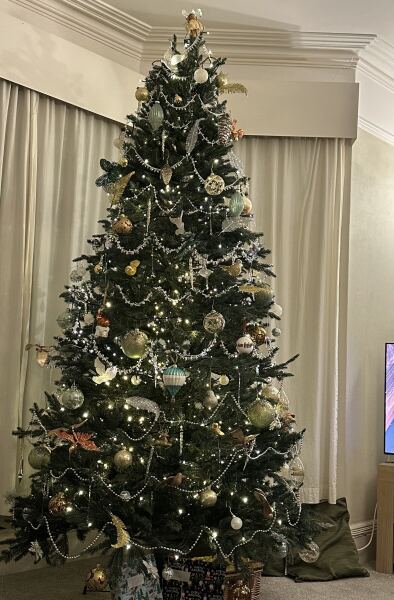 Have we had a Christmas tree thread this year?