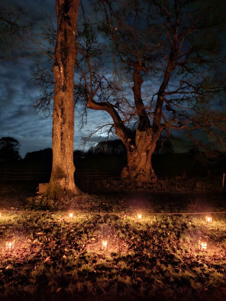 The Nigel Slater Christmas Chronicles readalong 2025 - Part 2