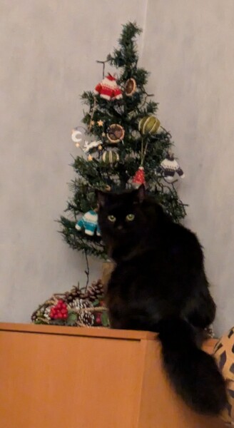 The Nigel Slater Christmas Chronicles readalong 2025 - Part 2