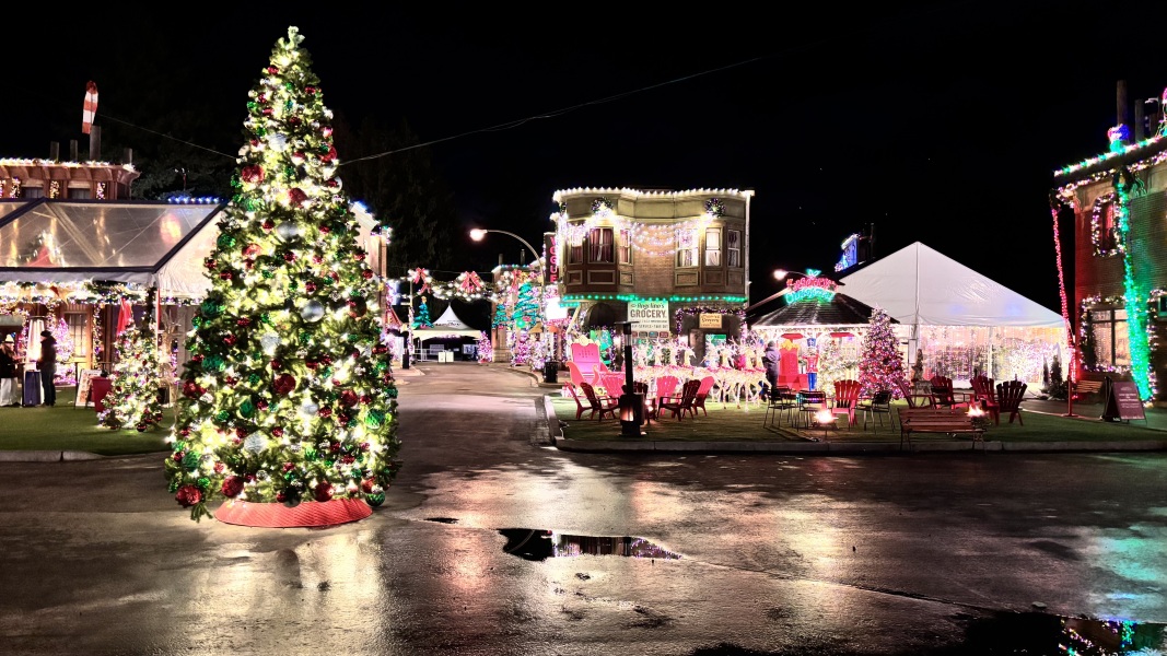 Daily Project round 8