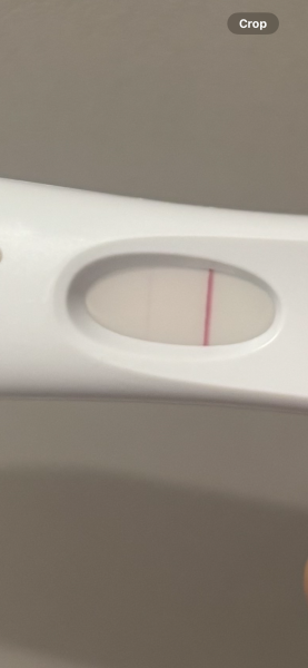 IVF progression line