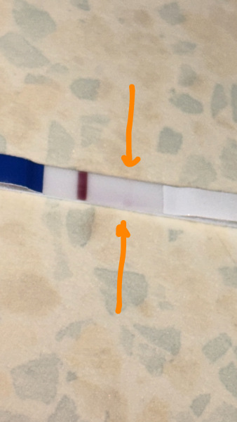 I think I see a squinter?!? 11DPO