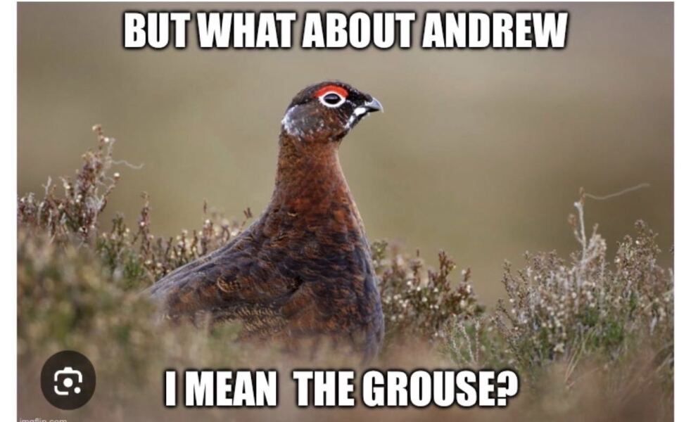 RF, William, Kate and cruelty to animals