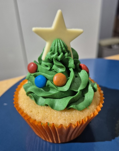 Which recipe book(s) did you use this Christmas?
